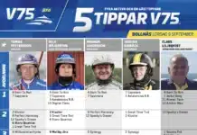 Fem tippar V75 till BOLLNÄS 9 september 2013 screenshot 2023 09 04 at 14.46.39
