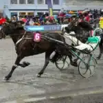 Inför V75: Från varmt till kallt i Boden inför v75® från varmt till kallt i boden malgang 1440x960 jpg
