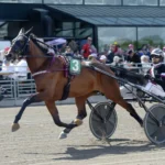 Inför V75: Laddat för segerfest inför v75® laddat för segerfest