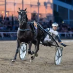 Inför V75: Mahony tror på en ny maxprestation med Millmighty inför v75® mahony tror på en ny maxprestation med millmighty