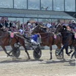Inför V75 (jackpot): ”Slår ur underläge för en gångs skull” inför v75® (jackpot) ”slår ur underläge för en gångs skull”