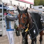 Inför V75 (jackpot): Tror på sina hästar och bjuder på en stenklar inför v75® (jackpot) tror på sina hästar och bjuder på en stenklar