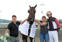 Inför V86 (multijackpot): Inga moln på himlen för Lozano di Quattro inför v86® (multijackpot) inga moln på himlen för lozano di quattro