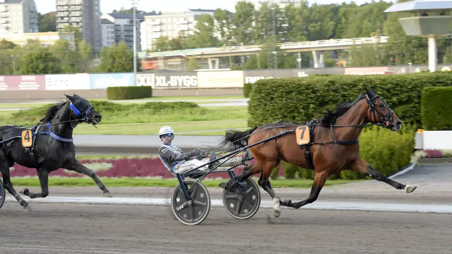 nurmos kung i kriteriekvalen