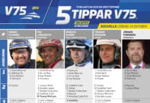 Fem tippar V75 till Solvalla 14 oktober 2023 fem tippar v75 41 2 scaled