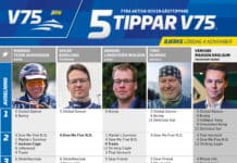 Fem tippar V75 till BJERKE 4 november 2023 fem tippar v75 v44 k2 scaled