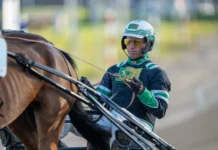 Inför GS75: ”Blir inte förvånad om jag vinner något lopp” stefan johansson i sulky 03803 1440x960 jpg