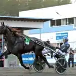 Inför V75 (jackpot): ”Hoppas han vaknat på rätt sida” inför v75® (jackpot) ”hoppas han vaknat på rätt sida”