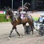 Inför V75 (lördag): Polletten har trillat ner hos Give Me Five N.O. inför v75® (lördag) polletten har trillat ner hos give me five n.o.