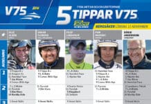 Fem tippar V75 till BERGSÅKER 11 november 2023 fem tippar v75 v45 fin