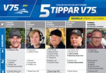 Fem tippar V75 till Solvalla 2 december 2023 fem tippar v75 v48 highres scaled