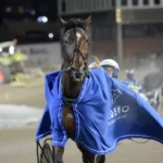 Inför V75 (jackpot): Snö och slask – då kan det vara läge för Filippa B.J filippa b.j. segerdefilerar 1440x990 jpg