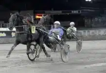 Inför V86 (jackpot): Nurmos gåva till travskolan har börjat starkt kennedy boko mal 2 1440x830 jpg