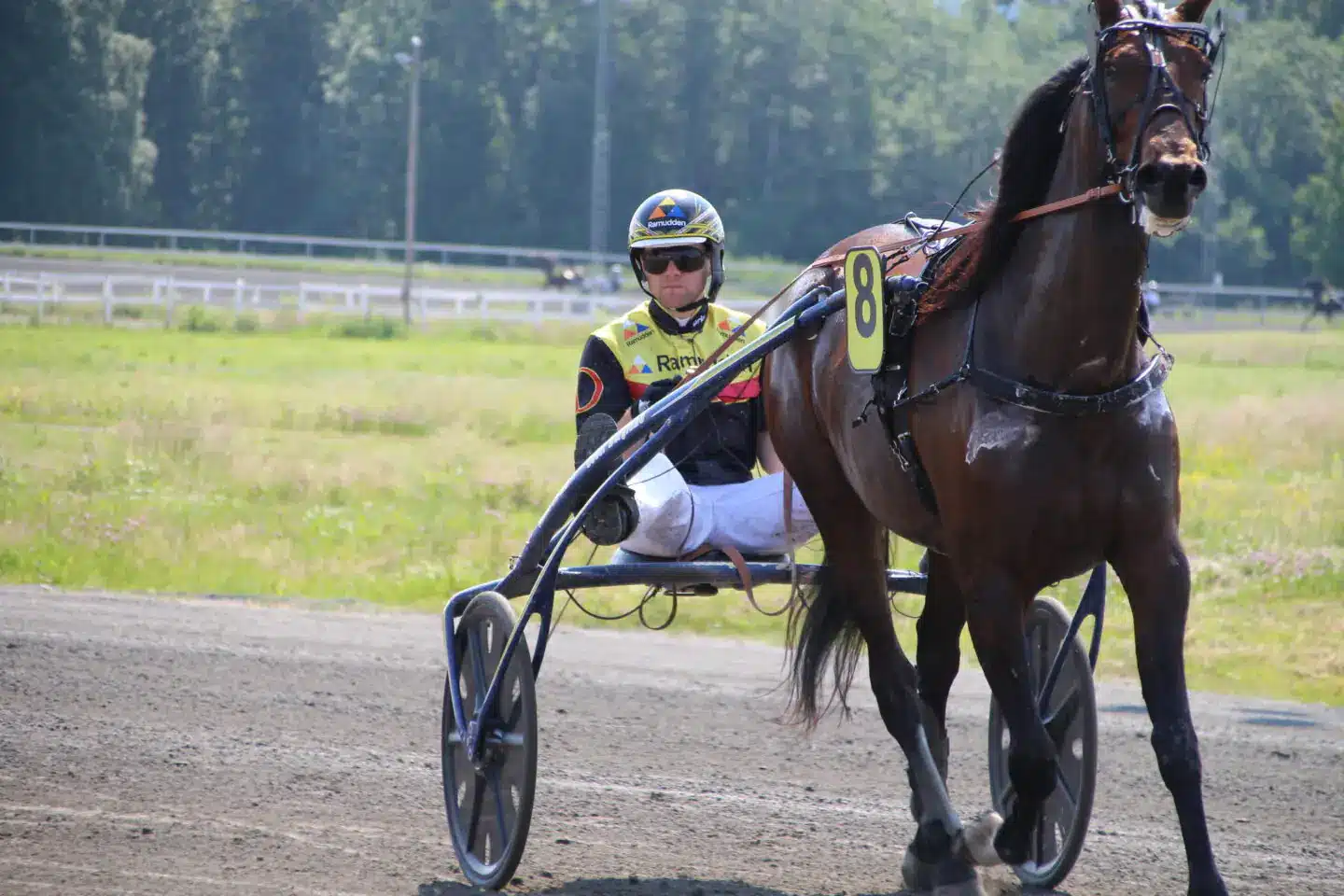 mats e djuse onas queen 1440x960 jpg