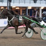 Inför V86 (jackpot): ”Måste tro på bra chans” victory h.h. mal 076 1440x917 jpg