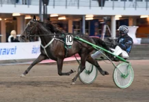 Inför V86 (jackpot): ”Måste tro på bra chans” victory h.h. mal 076 1440x917 jpg