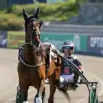 Elitloppshästen regidebuterar i Östersund elitloppshästen regidebuterar i östersund