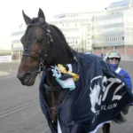 Inför V75: Hamres stjärna i favoritposition på Åby inför v75® hamres stjärna i favoritposition på åby