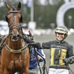 Inför V86 (jackpot): Sandras reklamhäst tillbaka inför v86 (jackpot) sandras reklamhäst tillbaka