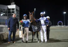 Inför V86 (jackpot): ”Star Muscle känns ännu bättre nu – bra chans” inför v86® (jackpot) ”star muscle känns ännu bättre nu – bra chans”