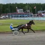 Inför V86 (jackpot): Travbanechefen har ett framtidshopp inför v86® (jackpot) travbanechefen har ett framtidshopp