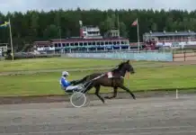 Inför V86 (jackpot): Travbanechefen har ett framtidshopp inför v86® (jackpot) travbanechefen har ett framtidshopp