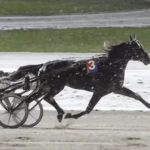 Lulius Boko tillbaka på tävlingsbanan lulius boko tillbaka på tävlingsbanan