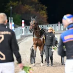 Inför V86 (jackpot): Två treåringar att räkna med i jackpotjakten dats tore efter segern 1440x871 jpg