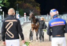 Inför V86 (jackpot): Två treåringar att räkna med i jackpotjakten dats tore efter segern 1440x871 jpg