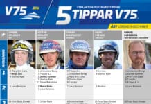 Fem tippar V75 till ÅBY lördag 9 december 2023 fem tippar v75 v49 k1 scaled