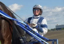 Inför GS75®: Jubilaren har fullt upp – hälften av stallet deltar i loppet h kan e johansson i sulky 2 1440x1080 jpg