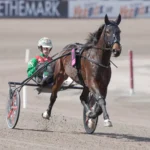 Just Believe imponerade vid ny seger i Australien just believe gregg sugars elitloppssondagen 2023 09737 1440x986 jpg
