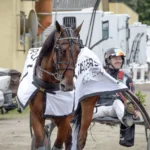 Untersteiner grävde guld på Vincennes karat river efter v75 seger 1440x1067 jpg