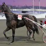 Inför V86 (jackpot): ”Hoppas spelarna har rätt” money smile def 1440x894 jpg