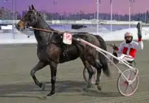 Inför V86 (jackpot): ”Hoppas spelarna har rätt” money smile def 1440x894 jpg