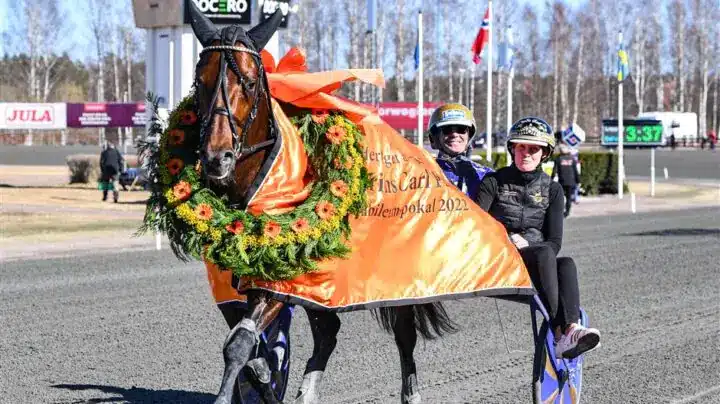 san moteur segerdef 82 1 720x404 jpg