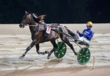 Inför V75: Lulius Boko på rekordjakt inför v75® lulius boko på rekordjakt