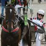 Inför V75 (jackpot): ”Känner mig inte golvad med någon” inför v75® (jackpot) ”känner mig inte golvad med någon”