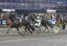 Mats Gällerstedt Inför V86 (jackpot) inför v86® (jackpot)