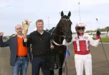 Inför V86 (jackpot): Donners Am betyder extra mycket för Per Linderoth – ”Är väldigt viktig” inför v86® (jackpot) donners am betyder extra mycket för per linderoth – ”är väldigt viktig”