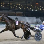 Inför V86 (jackpot): Statistikpaket inför v86® (jackpot) statistikpaket