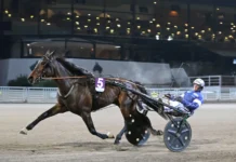 Inför V86 (jackpot): Statistikpaket inför v86® (jackpot) statistikpaket