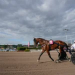 Spurtkanonen Go On Boy är redo för Prix d’Amerique spurtkanonen go on boy är redo för prix d’amerique
