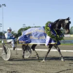 Mot alla odds efter nervskadan – Nu är Aetos Kronos med i Prix d’Amerique aetos kronos segerdefilerar 1440x962 jpg