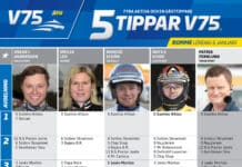 Fem tippar V75 till Romme 6 januari 2024 fem tippar v75 v1 k3 scaled