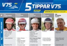 Fem tippar V75 till AXEVALLA 27 januari 2024 fem tippar v75 v4 k2 scaled