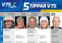 Fem tippar V75 till Solvalla 3 februari 2024 fem tippar v75 v5 scaled