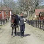 Prix d’Amerique: Sabine Kagebrant i direktsänd intervju i TV4 joviality och sabine pa vag fran hagen 1440x959 jpg