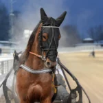 Inför V86/dubbeljackpot: Lugnare upplägg med heta Flamman nför v86®:dubbeljackpot lugnare upplägg med heta flamma