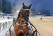 Inför V86/dubbeljackpot: Lugnare upplägg med heta Flamman nför v86®:dubbeljackpot lugnare upplägg med heta flamma